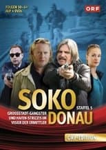 Temporada 5