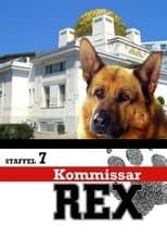 Temporada 7