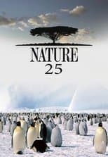 Temporada 25