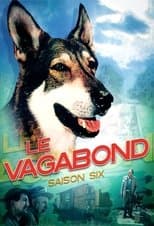 Temporada 6