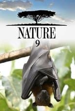 Temporada 9