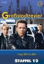 Temporada 19