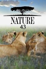 Temporada 43