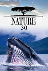 Temporada 30