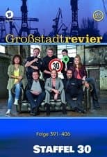 Temporada 30