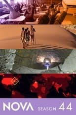 Temporada 44