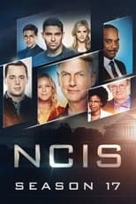 Temporada 17