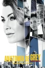 Temporada 14