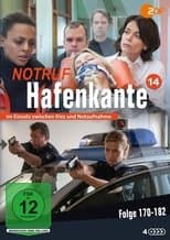 Temporada 14