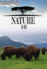 Temporada 10