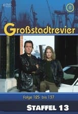 Temporada 13