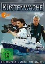 Temporada 14