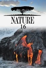 Temporada 16