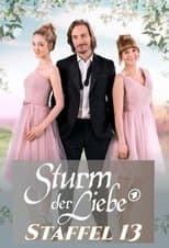 Temporada 13