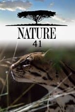 Temporada 41