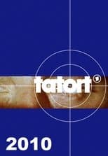 Temporada 41
