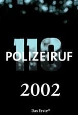 Temporada 31