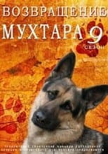 Temporada 9