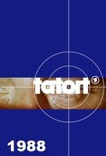 Temporada 19