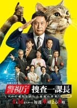 Temporada 6