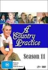 Temporada 11