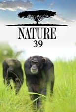 Temporada 39