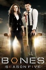 Temporada 5