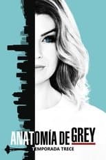 Temporada 13