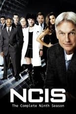 Temporada 9