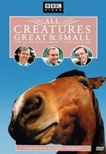 Temporada 5
