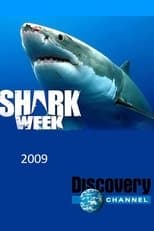 Temporada 22