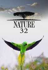 Temporada 32