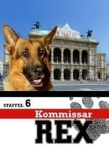 Temporada 6