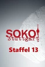Temporada 13