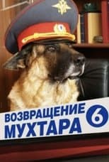 Temporada 6