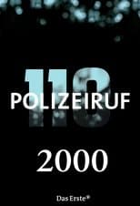 Temporada 29
