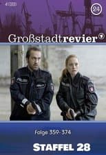 Temporada 28