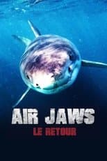 Temporada 31