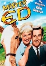Temporada 5