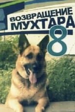 Temporada 8