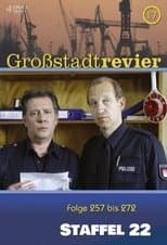 Temporada 22