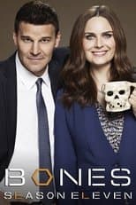 Temporada 11