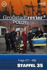 Temporada 35