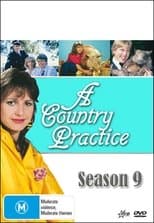 Temporada 9