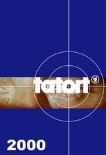 Temporada 31