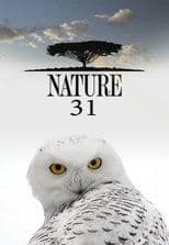 Temporada 31