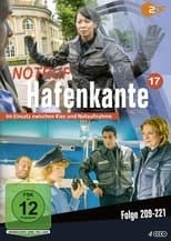 Temporada 17