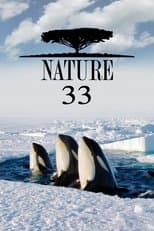 Temporada 33