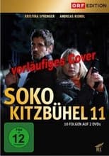 Temporada 11