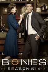 Temporada 6